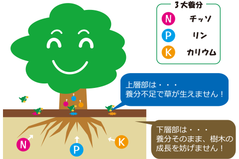 草が生えにくい理由