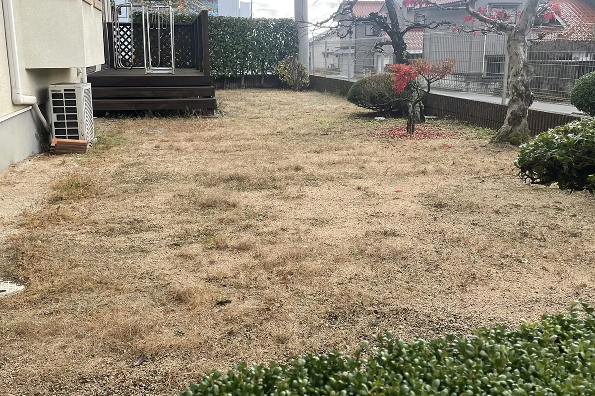 Before